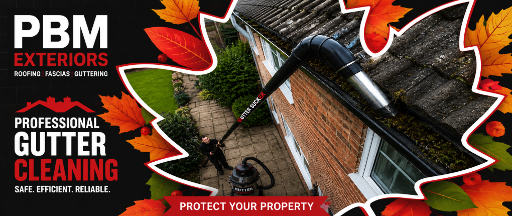 Gutter Cleaning